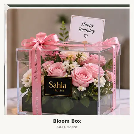 Bloom Box Tolikara